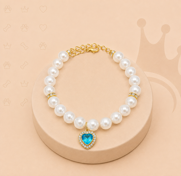 Colar Pet Luxo