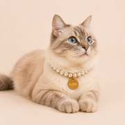 Colar Pet com Plaquinha de Identificação Pérola