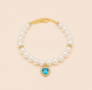 Colar Pet Luxo com Strass