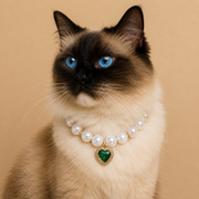 Colar Pet Luxo