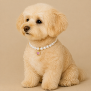 Colar Pet Luxo
