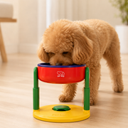 Comedouro Elevado Ajustável para Cães e Gatos