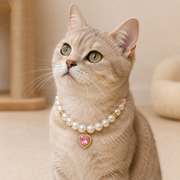Colar Pet Luxo com Strass