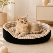 Cama Dubai